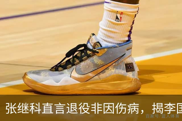张继科直言退役非因伤病，揭李国梁与他的复杂关系